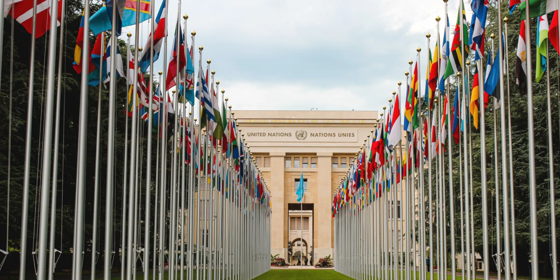 "Global Climate Law banner" 