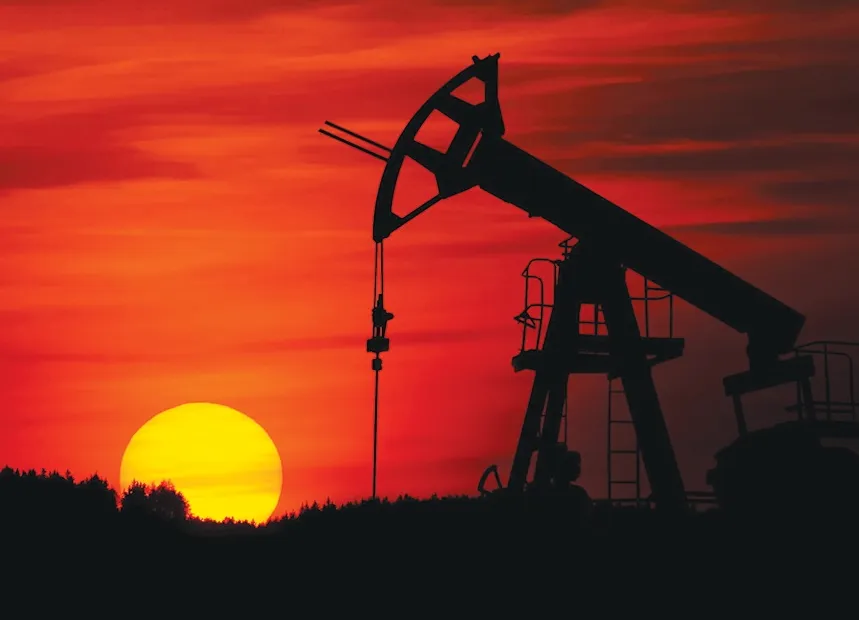 "Climate Litigation" 