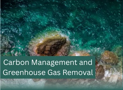 "Carbon management" 
