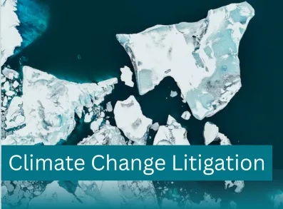 "climate change litigation" 