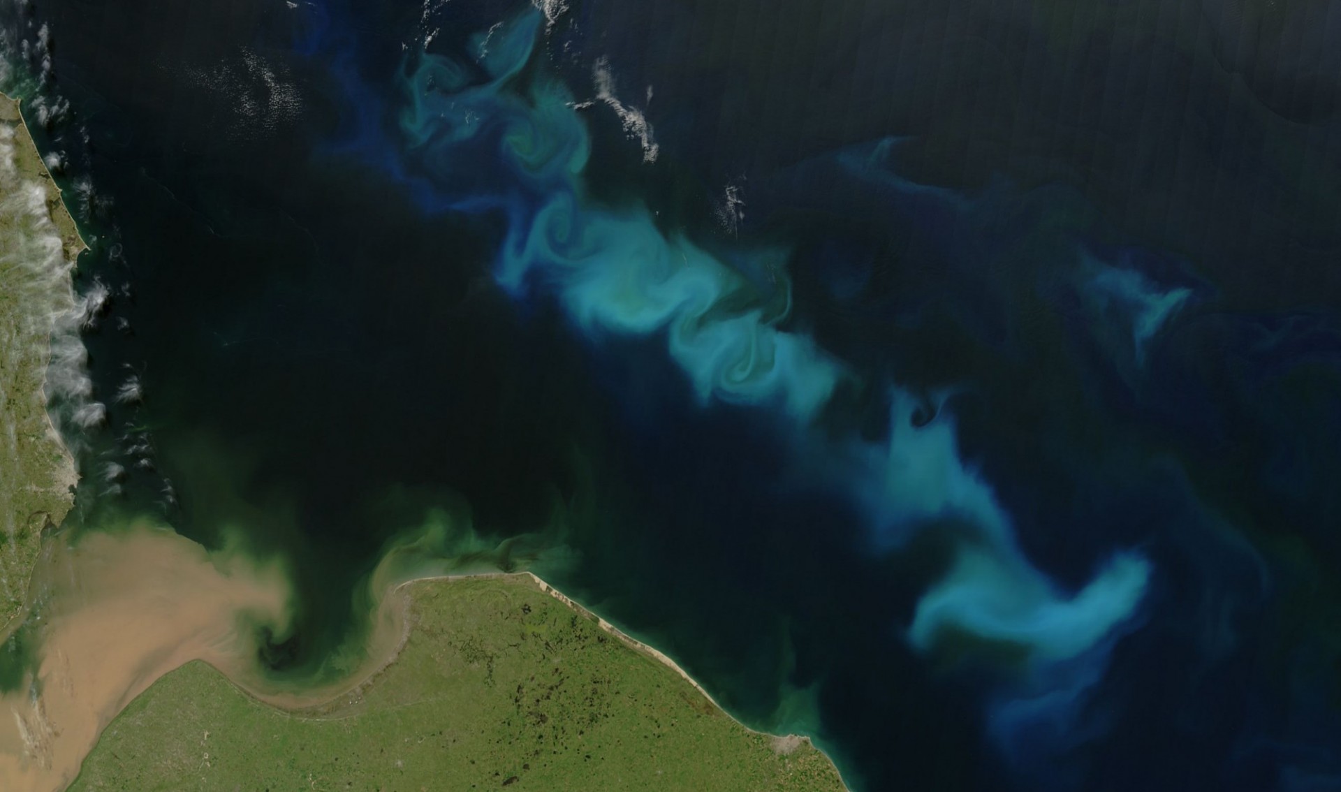 "Carbon Management and Negative Emissions