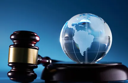 "global climate law" 