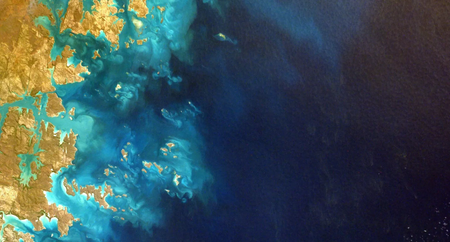 "blue carbon"