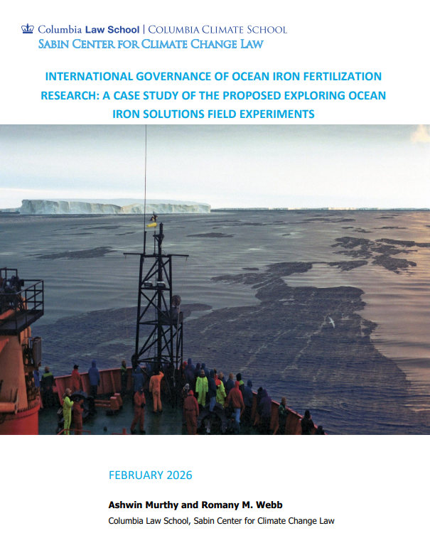 "ocean fertilization" 