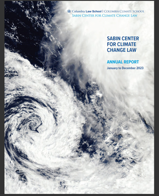 "annual report 2024"