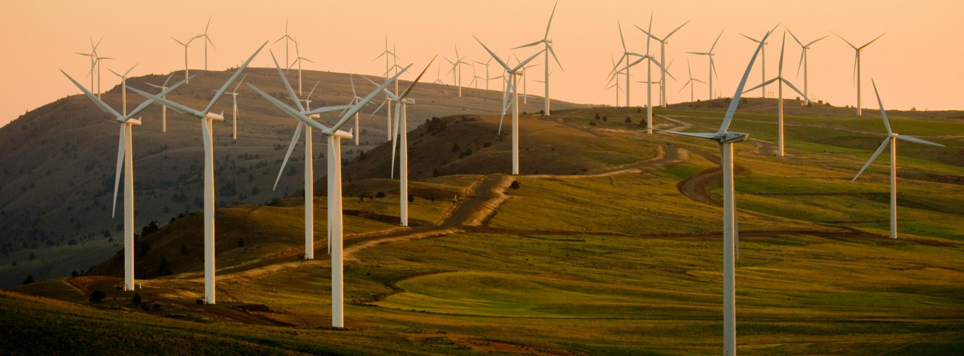 "WIND"