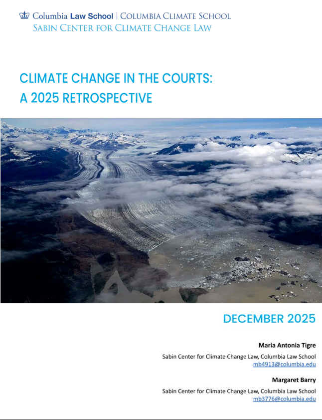 "climate litigation 2025" 