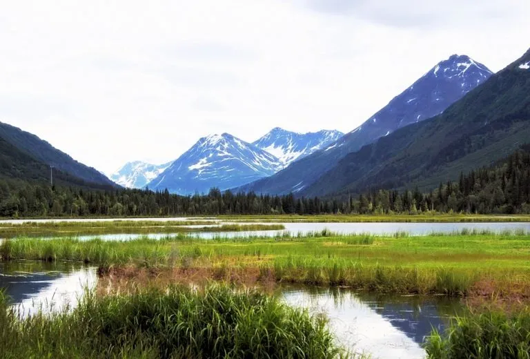 Image Natural Resources 2 E1475772863228 768x520.jpg