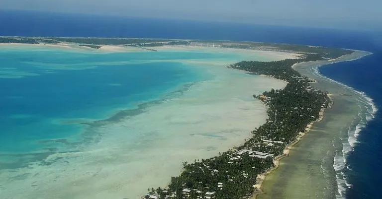 Image Threatened Islands Program 768x401.jpg